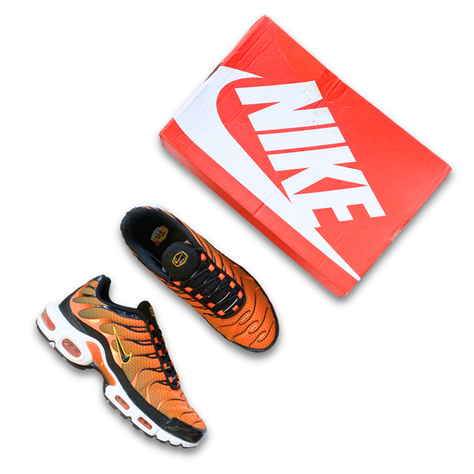 NIKE AIR MAX TN 'SUNSET' (US 12)