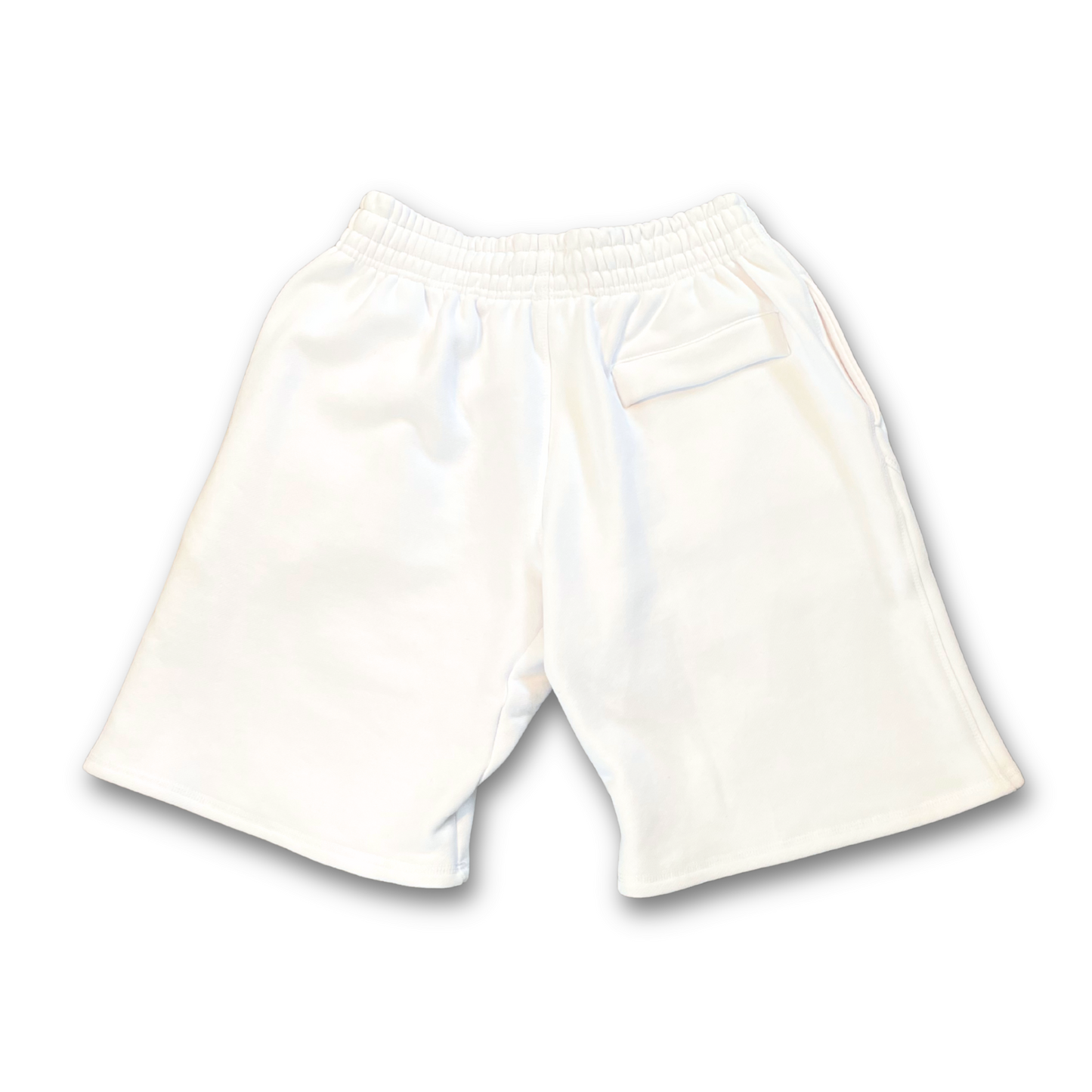 CORTEIZ SCRIPT SWEAT SHORTS (M)