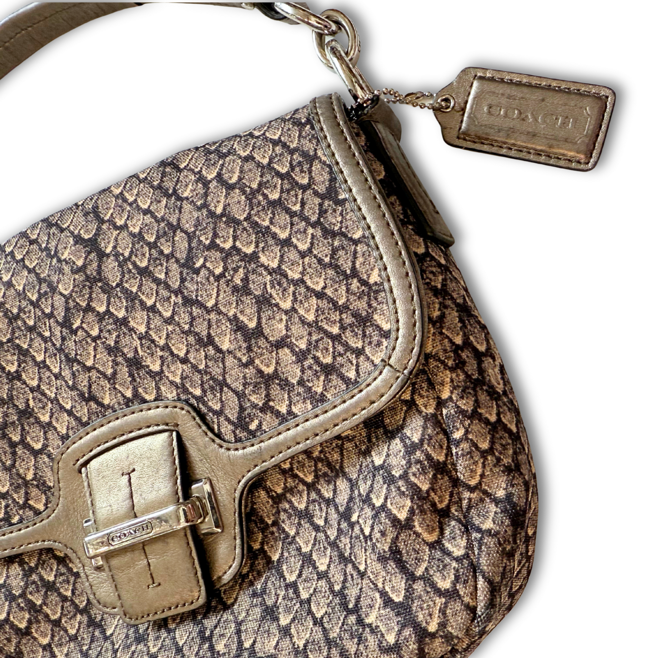 Coach Snake Skin 2013 Taylor Purse