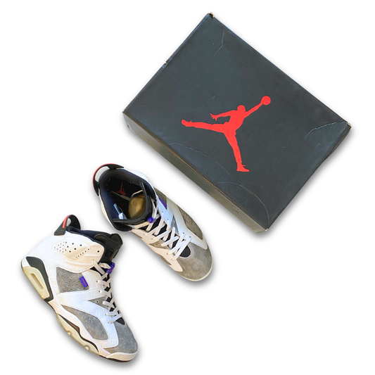 JORDAN 6 'FLIGHT NOSTALGIA' (US 12)