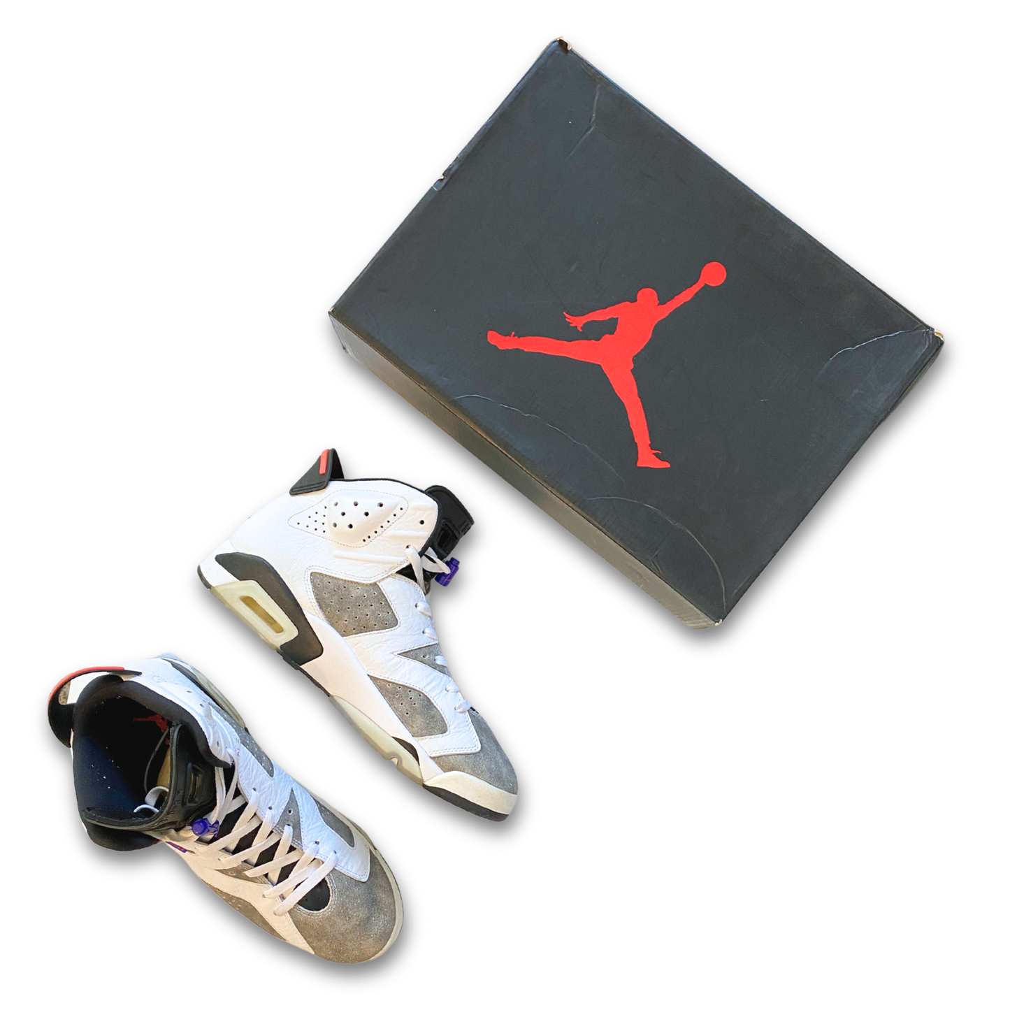 JORDAN 6 'FLIGHT NOSTALGIA' (US 12)