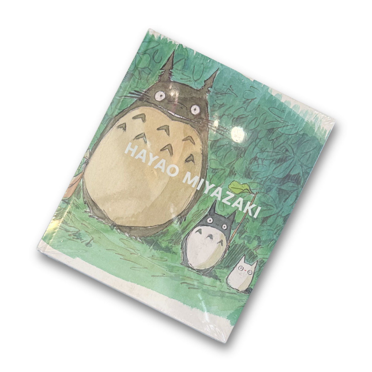 Hayao Miyazaki Art Book