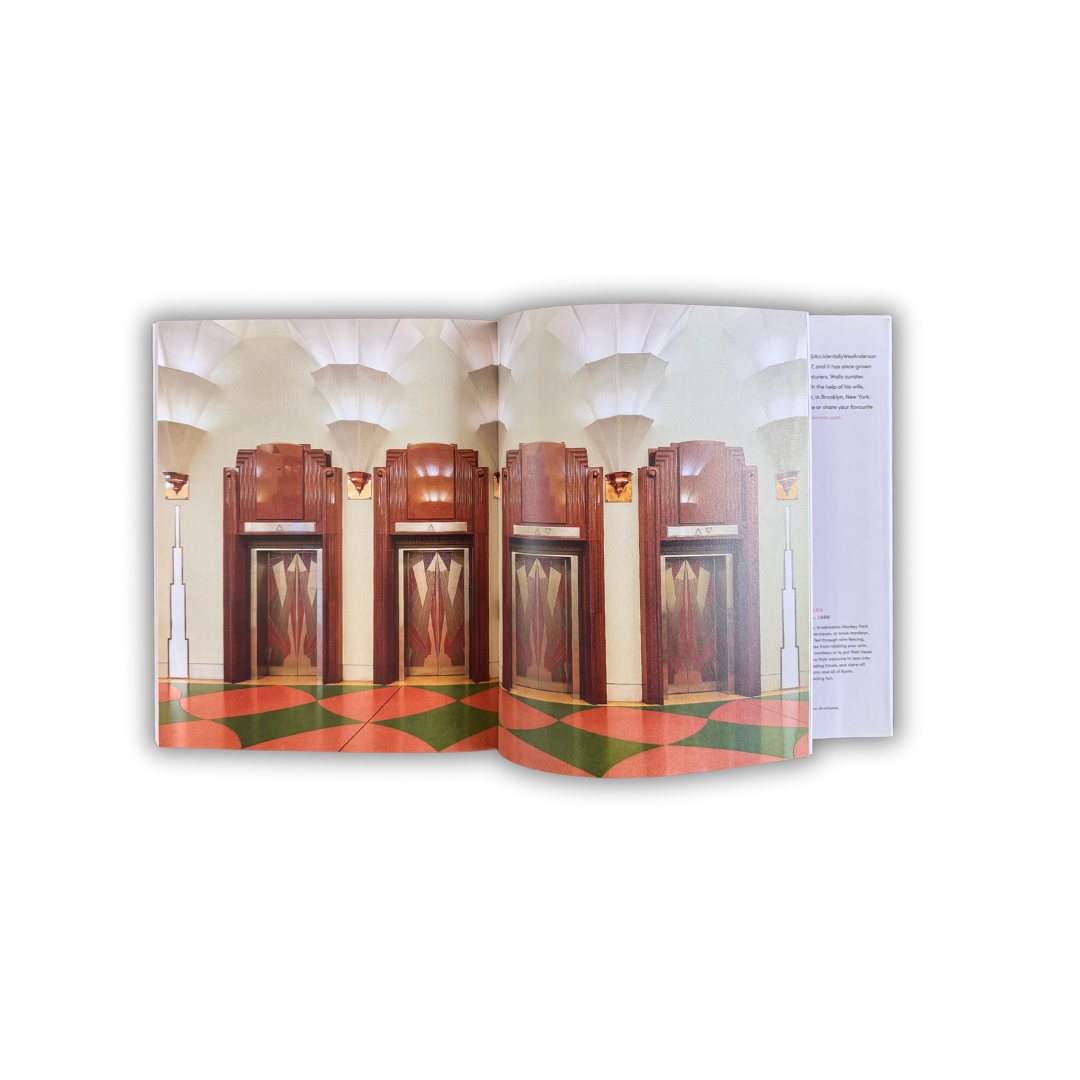 Accidentally Wes Anderson - Hardcover Book
