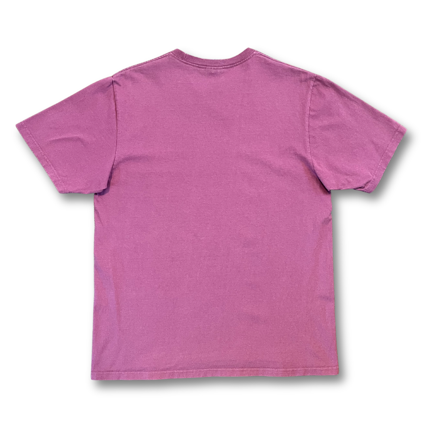 Stussy Nurture T-shirt (M)