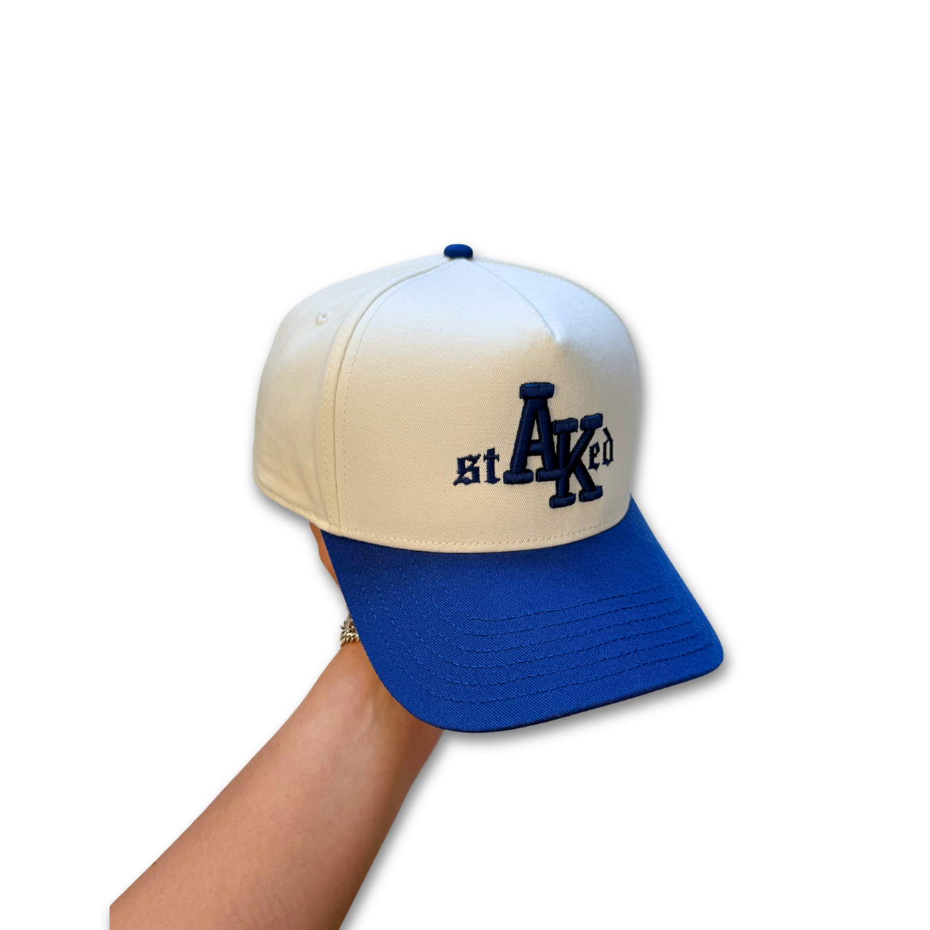 VIC NZ "STAKED" A FRAME SNAPBACK