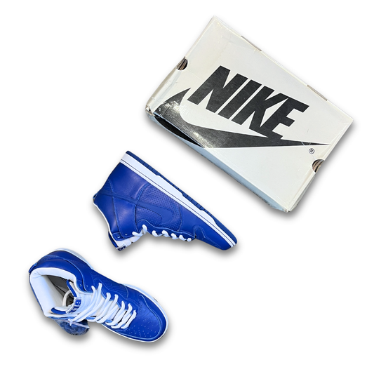 Nike SB Dunk High Pro "T19" sneaker (US 12)