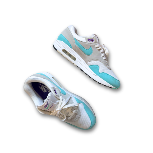 Nike Air Max 1 Anniversary 'Aqua' (US 9)