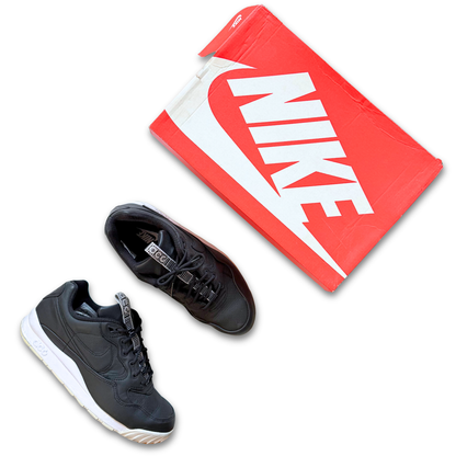 Nike Air 'Wildwood' ACG Premium (US 9)