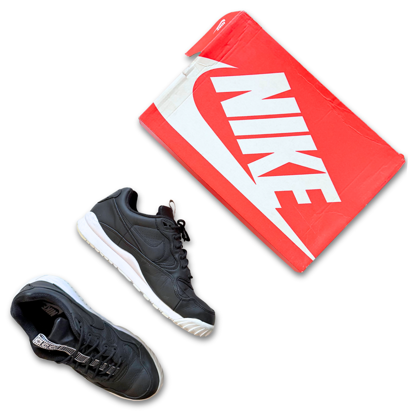 Nike Air 'Wildwood' ACG Premium (US 9)