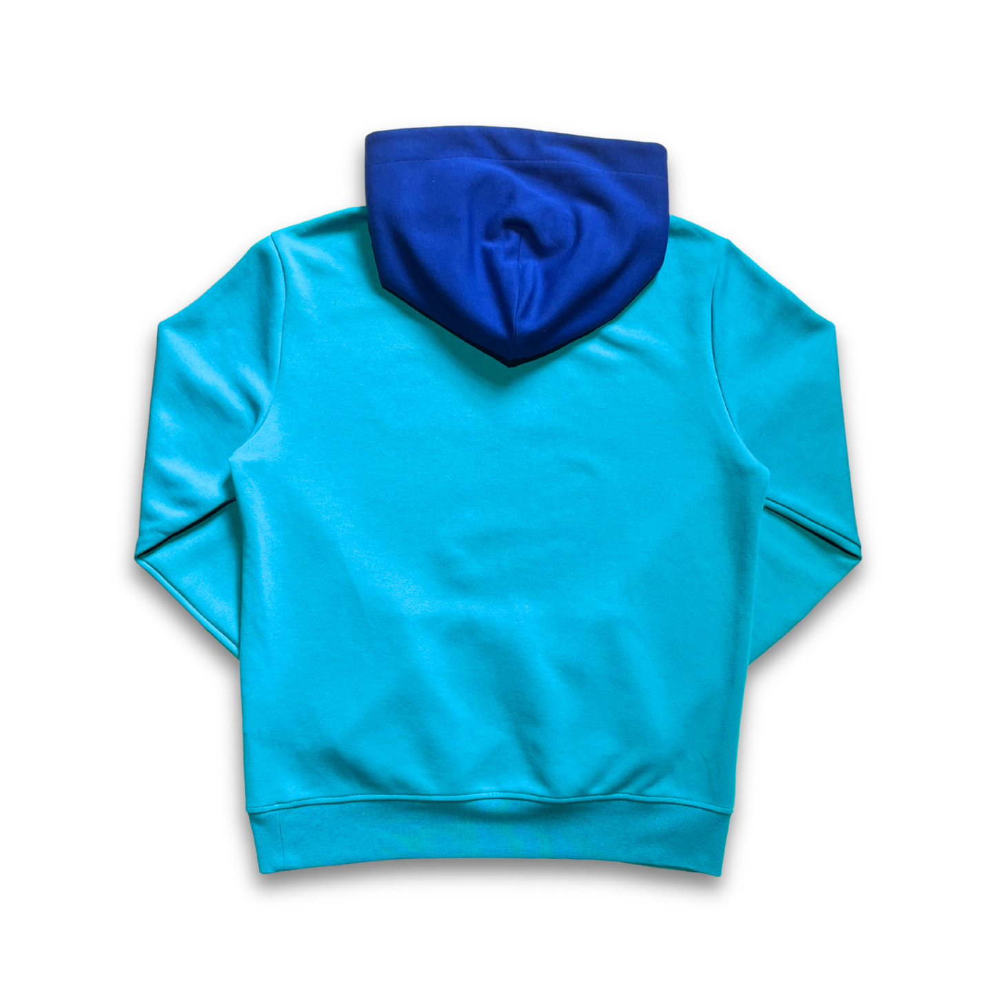 Polo Ralph Lauren Spectre colour block hoodie (S/M)