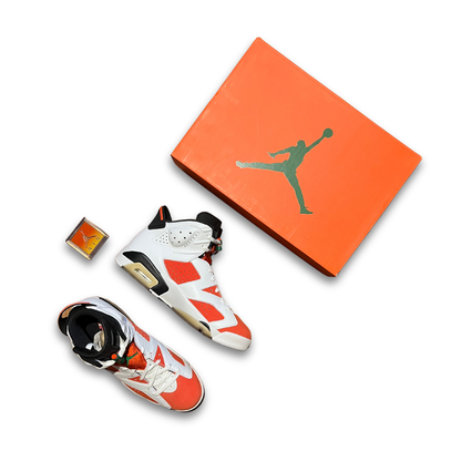 Jordan 6 Retro 'Gatorade' (US 10)