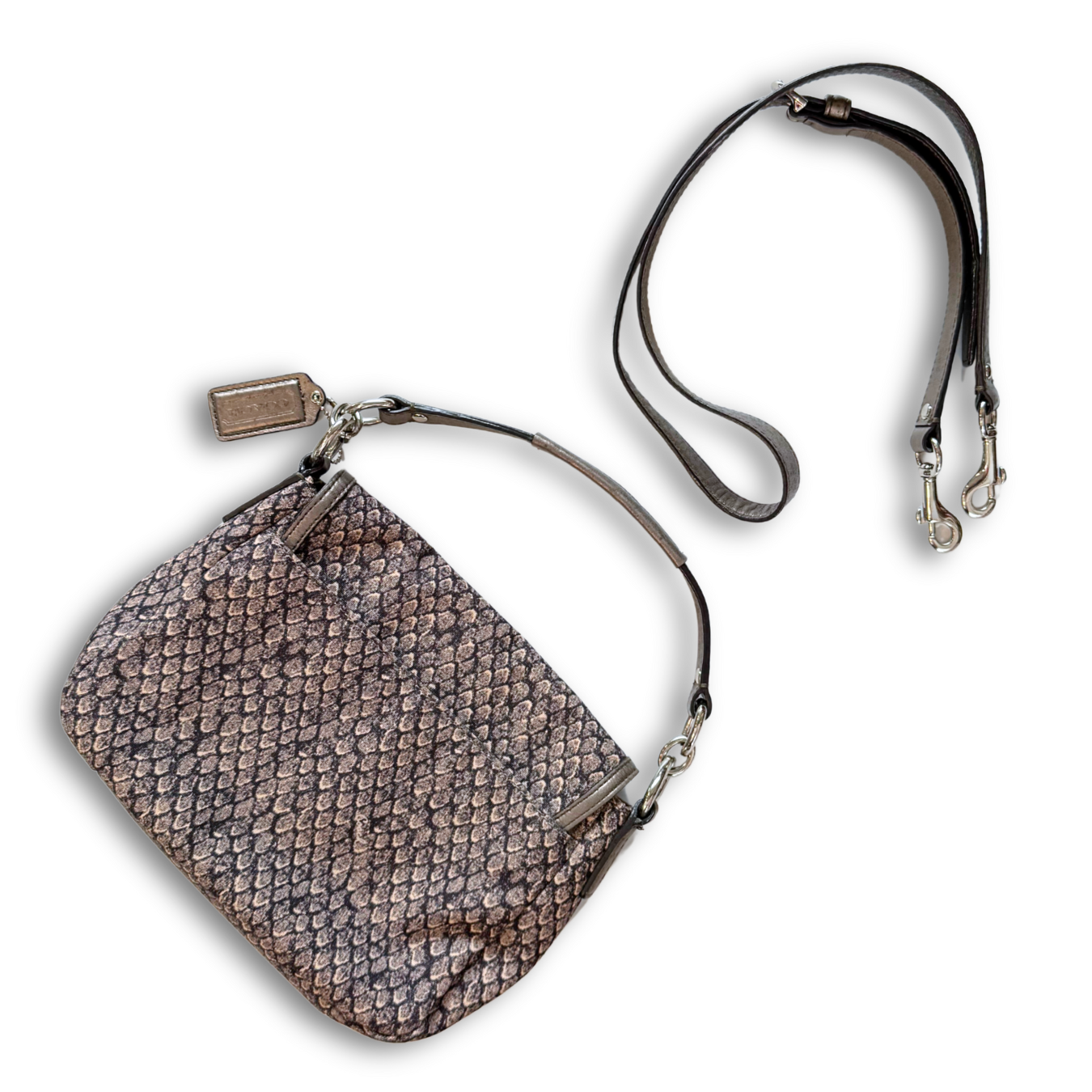 Coach Snake Skin 2013 Taylor Purse