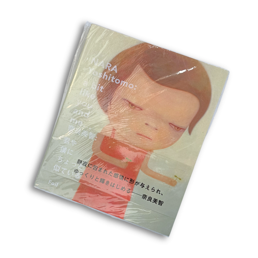 Nara Yoshitomo: A Bit Like You and Me Book