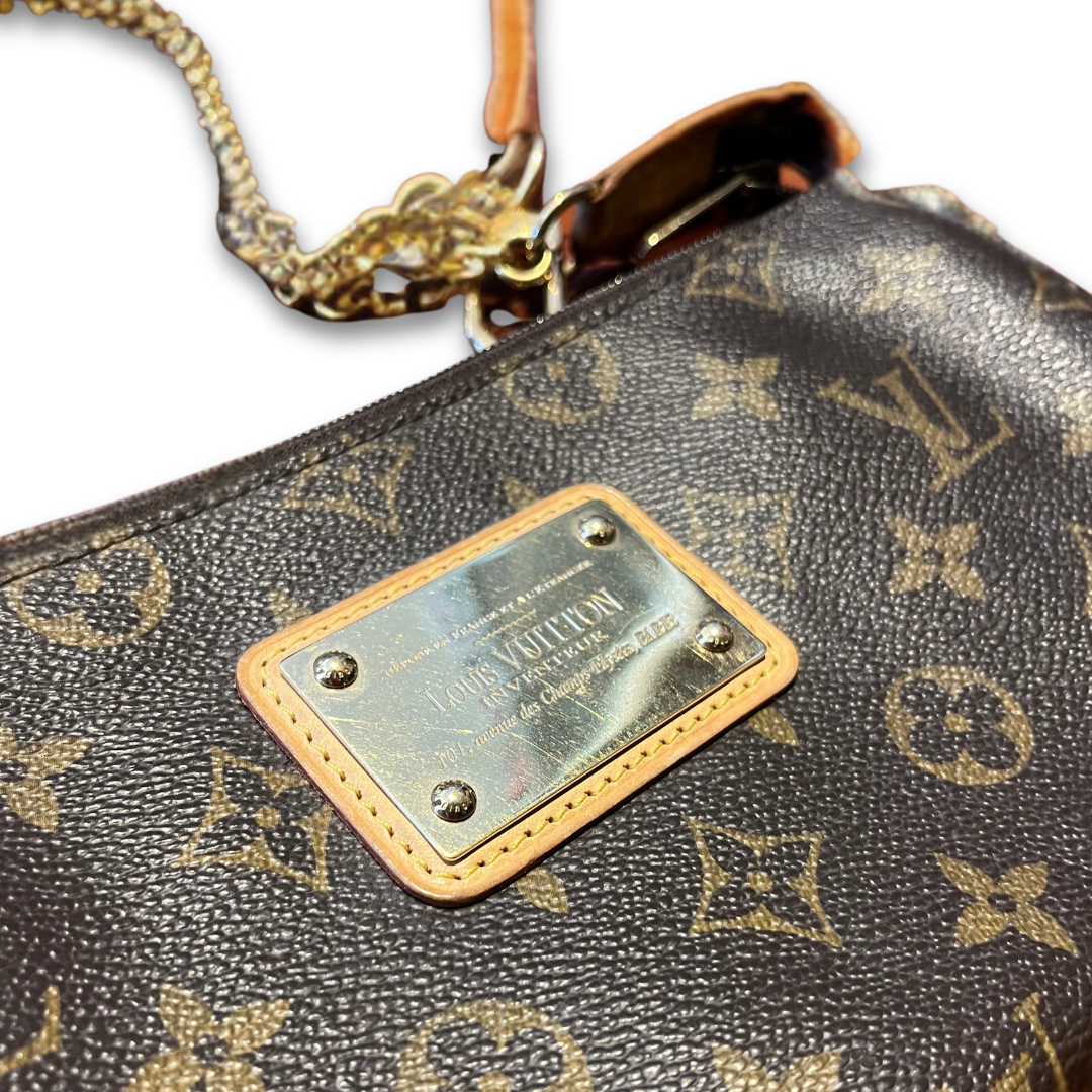 Louis Vuitton Monogram Sophie clutch